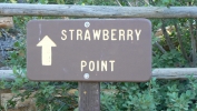 PICTURES/Strawberry Point - Dixie National Forrest/t_Strawberry Point Sign.JPG